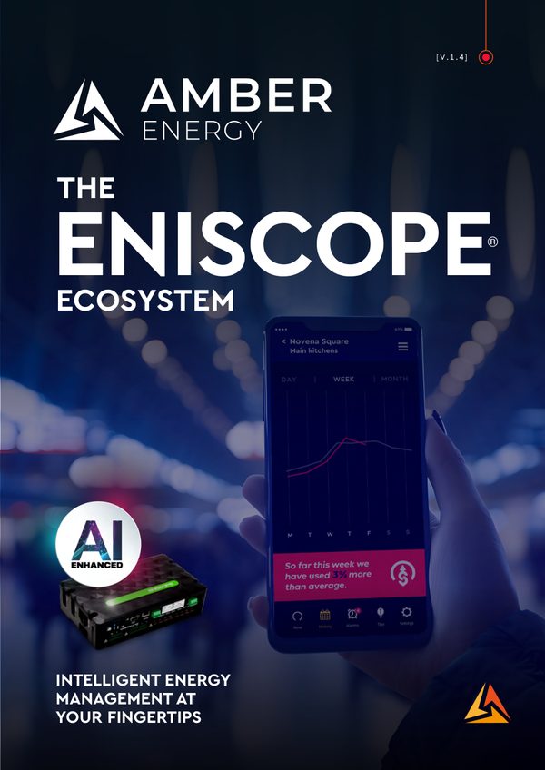 „Eniscope in action 2026“ aprašo viršelis